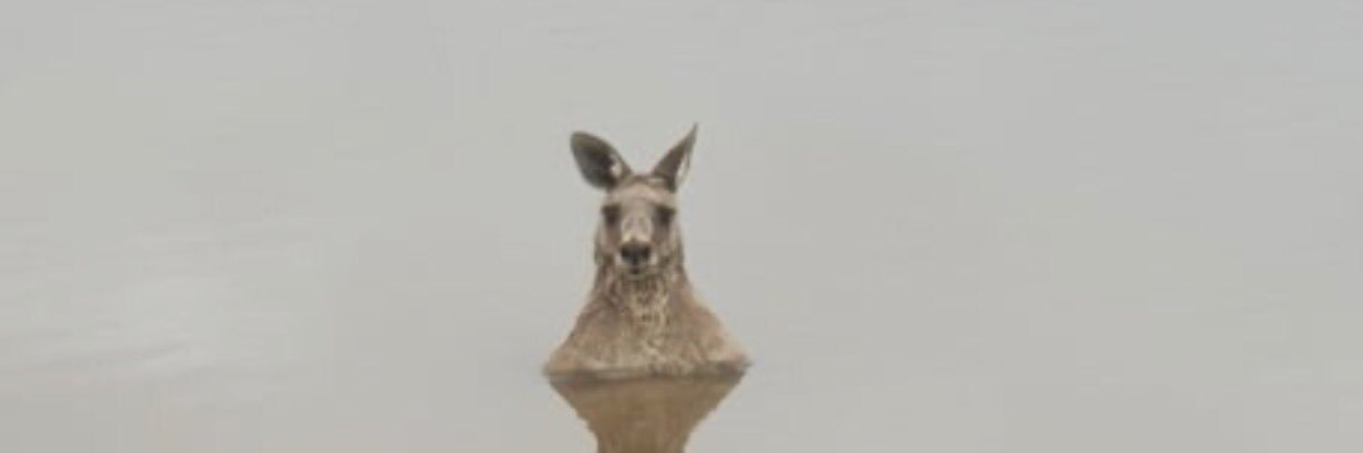 CraigsFlannel's profile banner image