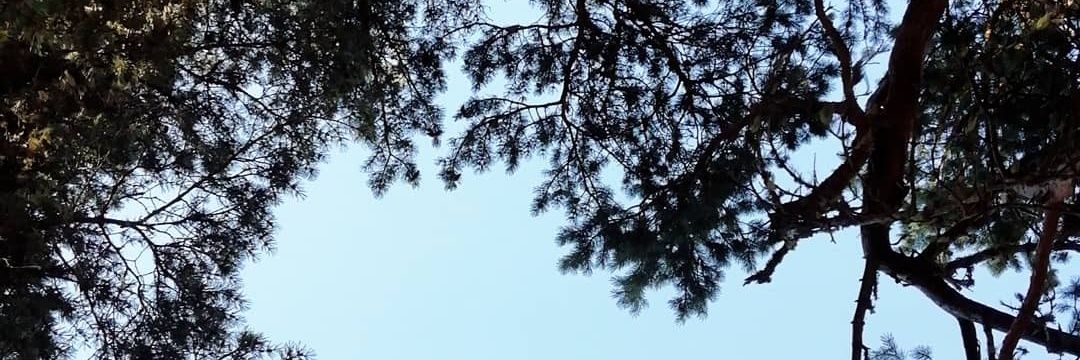 chdrdenis's profile banner image