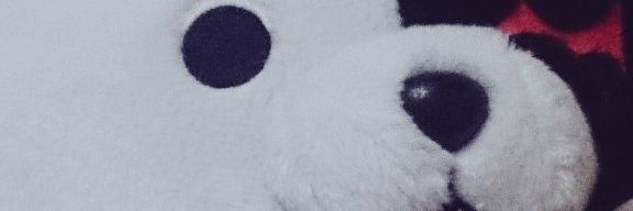 vanilla_udon's profile banner image