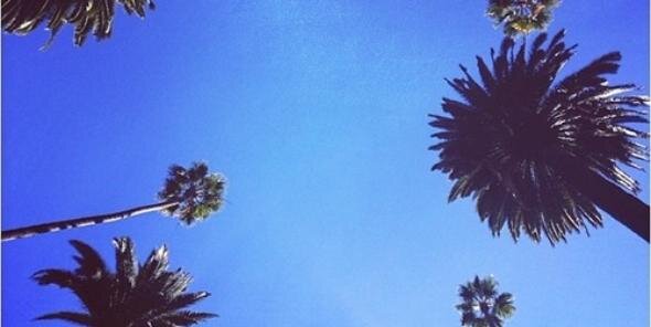 chrisantos__'s profile banner image