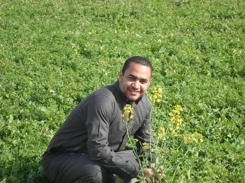 asaber493's profile banner image