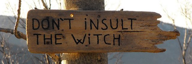 🌼Nandini🦎 banner