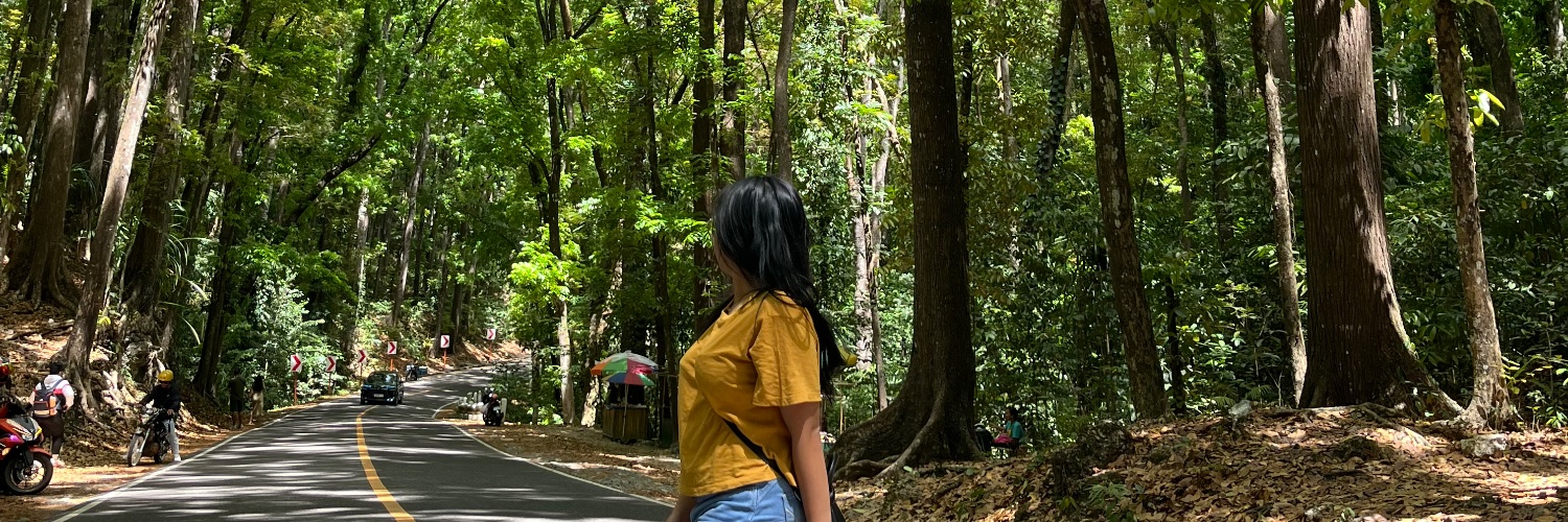 cestclairee's profile banner image