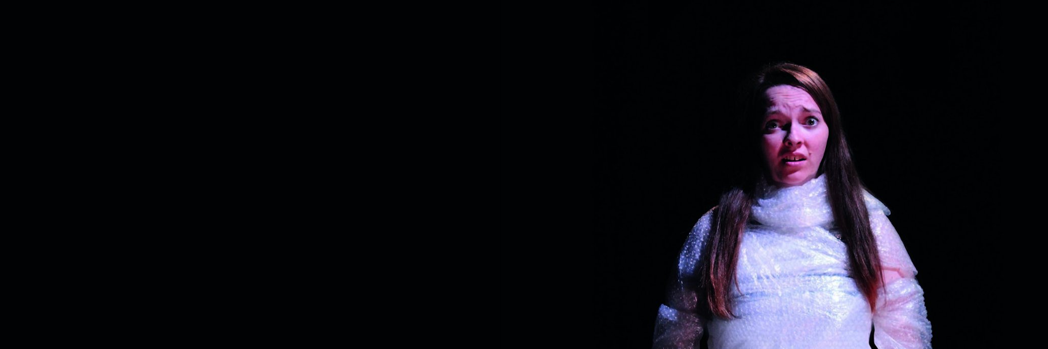 Flickbook Theatre banner