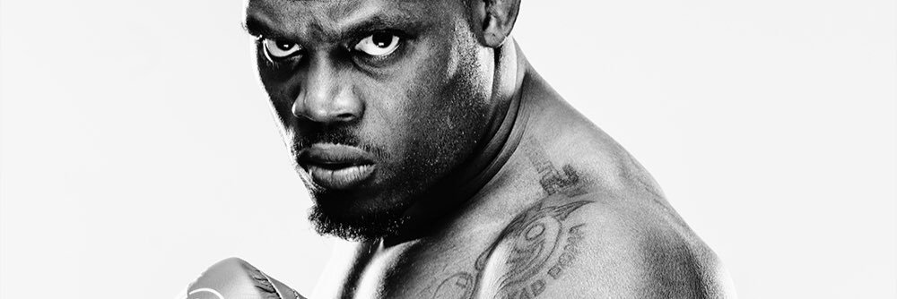 Melvin Manhoef banner