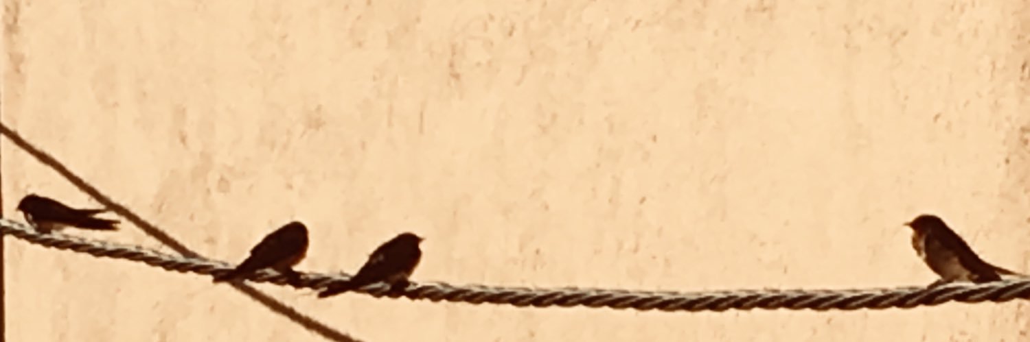 Cristina Botey banner