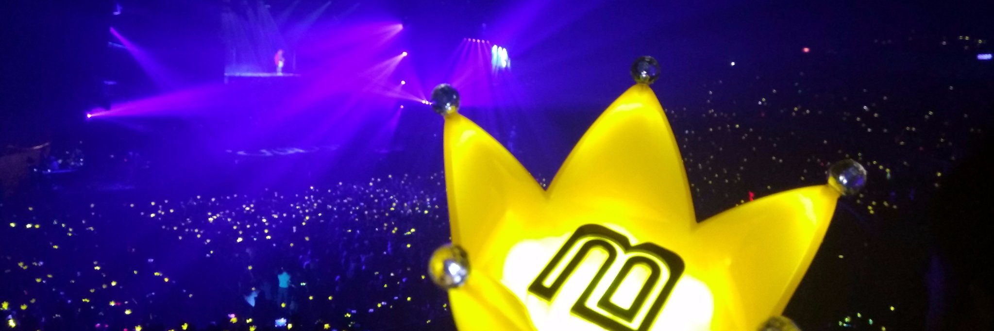 loonypam's profile banner image
