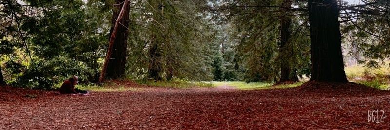 LKO-Read, Write, Travel, Repeat banner