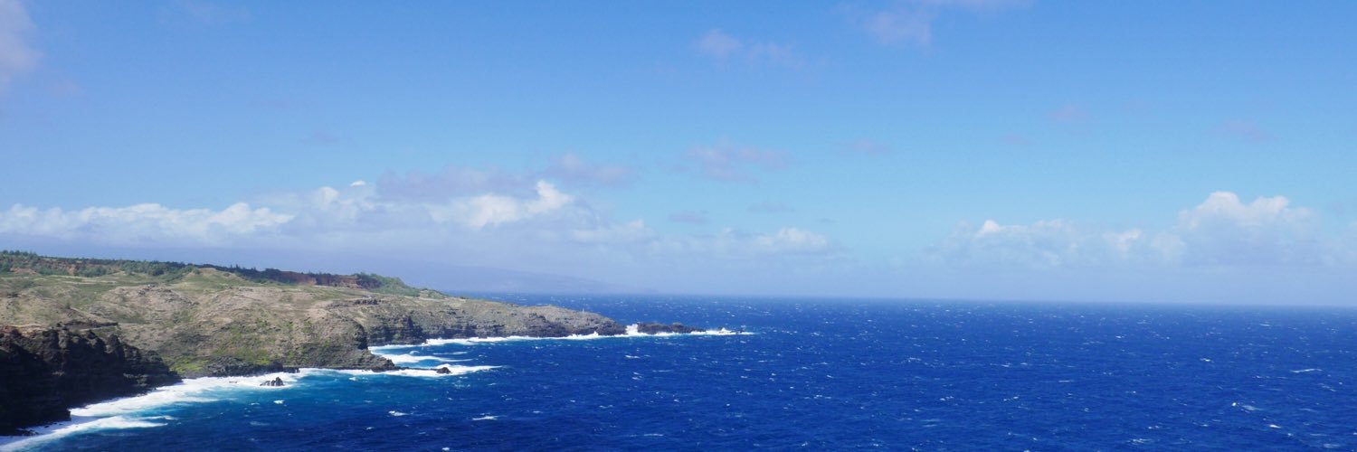 bhicksGA's profile banner image