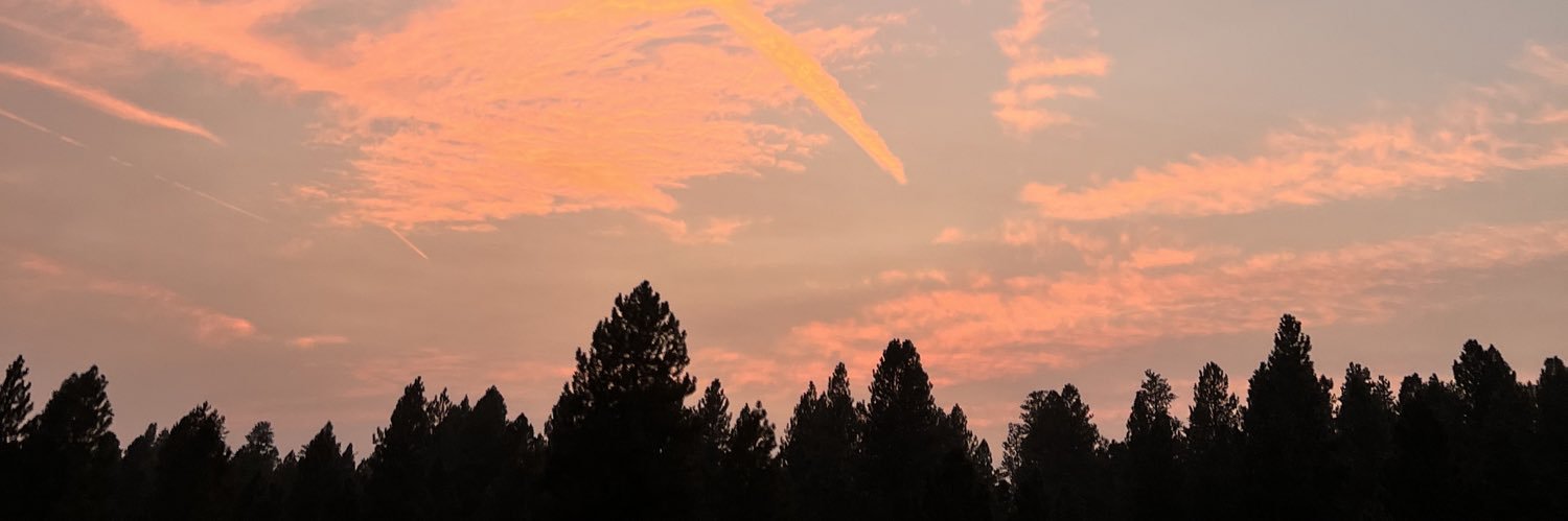Madison_Amoth's profile banner image