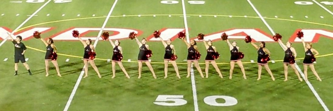 FODT banner