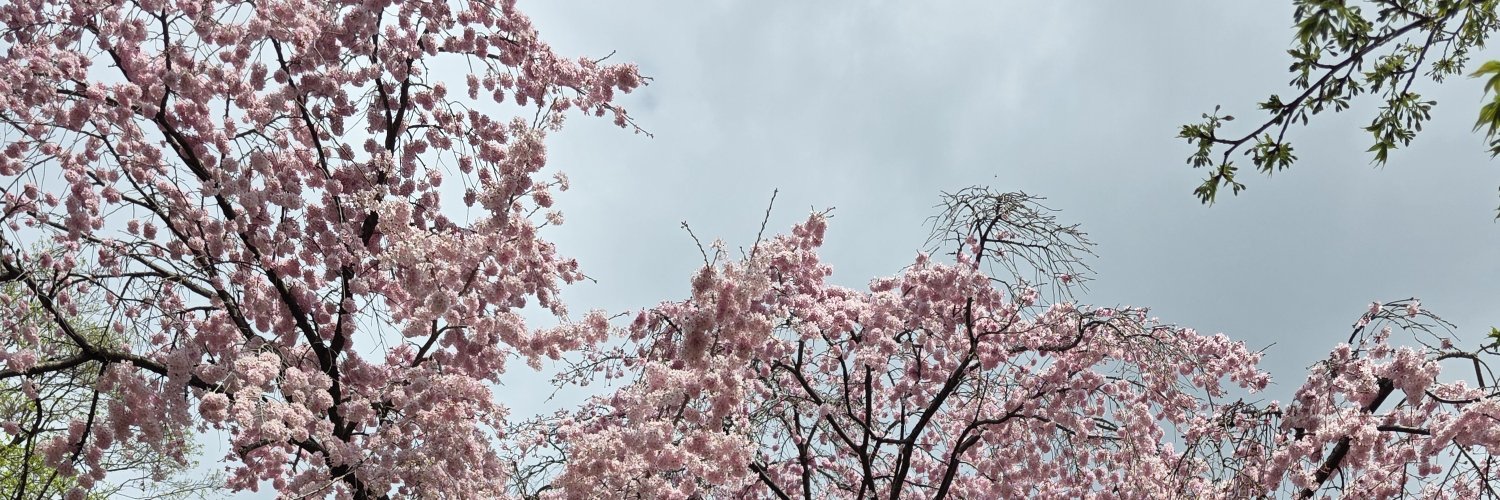 Postie_75's profile banner image
