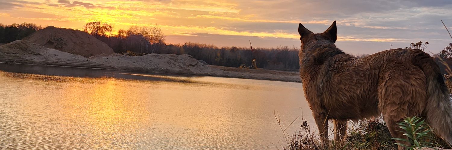 KathyOlson24's profile banner image