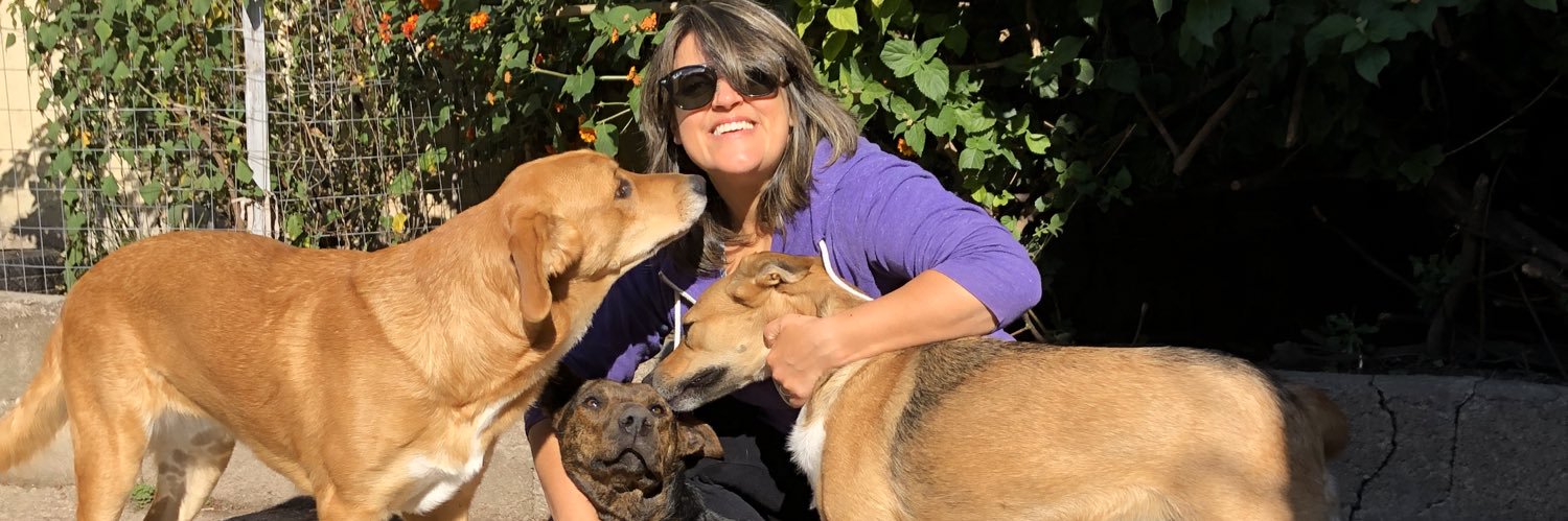 veronica valentte banner