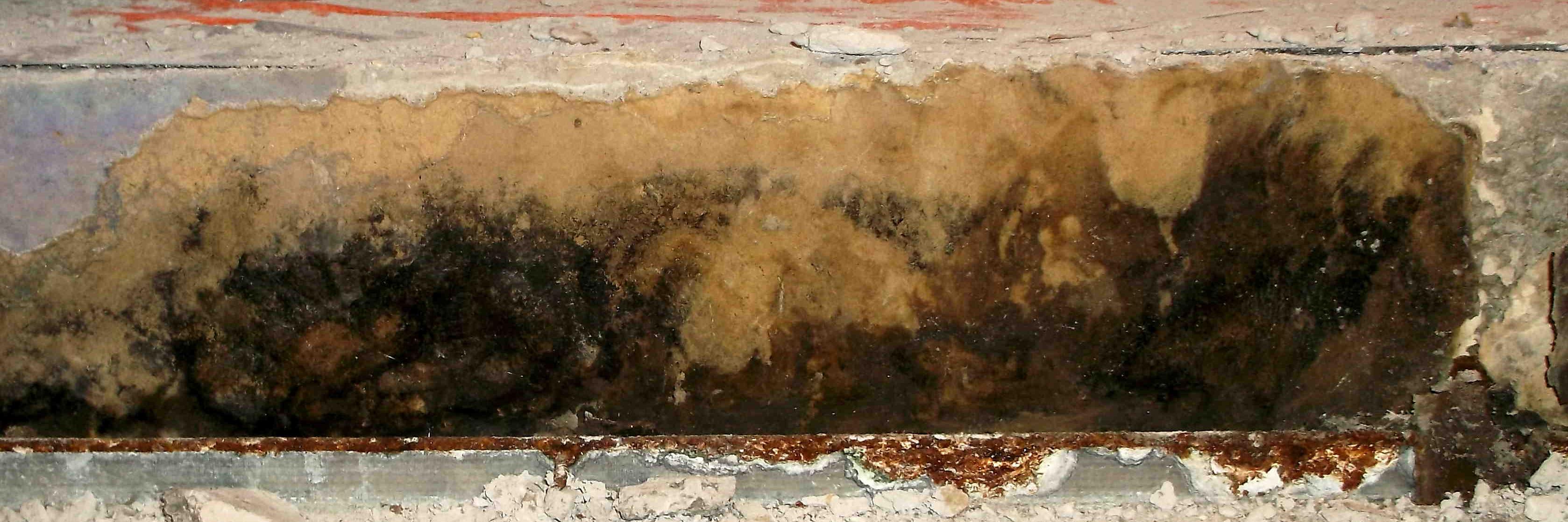 ecoabate's profile banner image