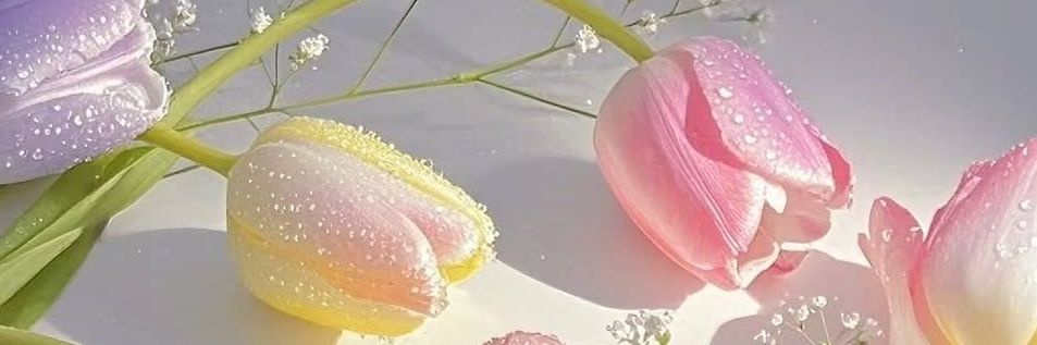 larose_lerite's profile banner image