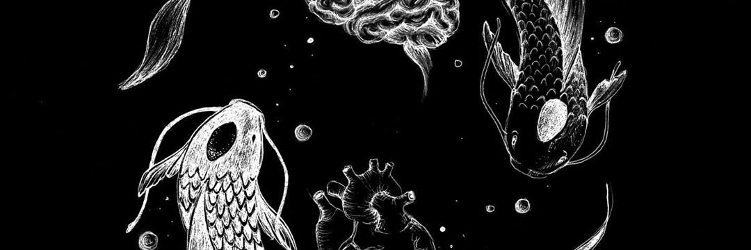 nmmeu_'s profile banner image