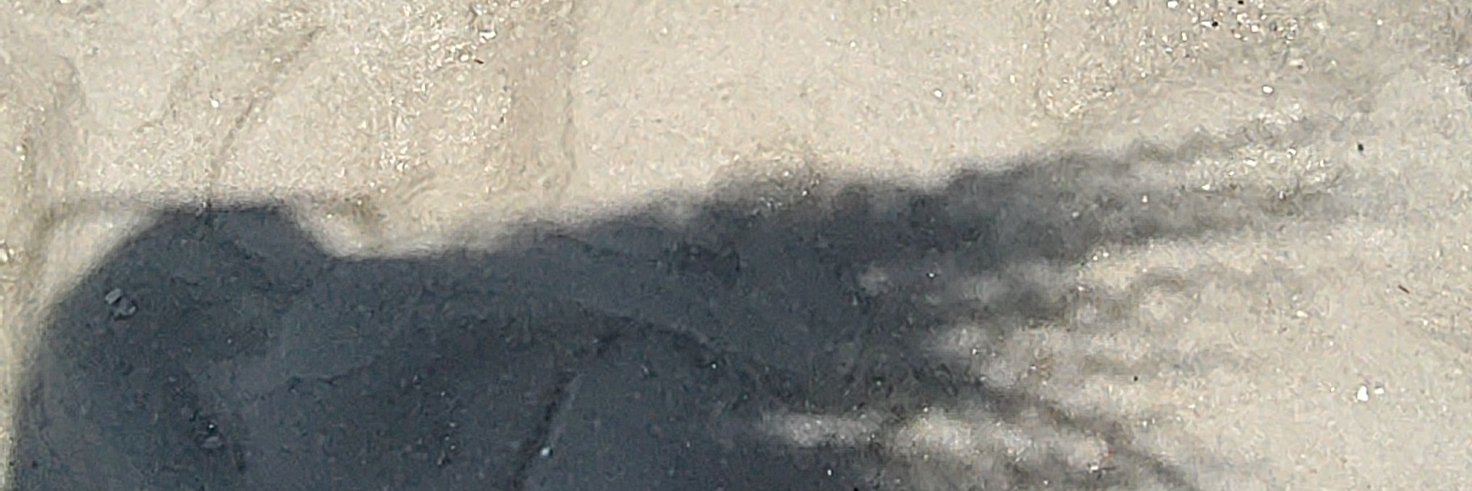 shayz27's profile banner image