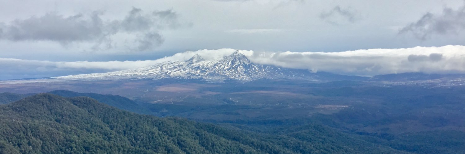 Poppy Fay Seaton banner