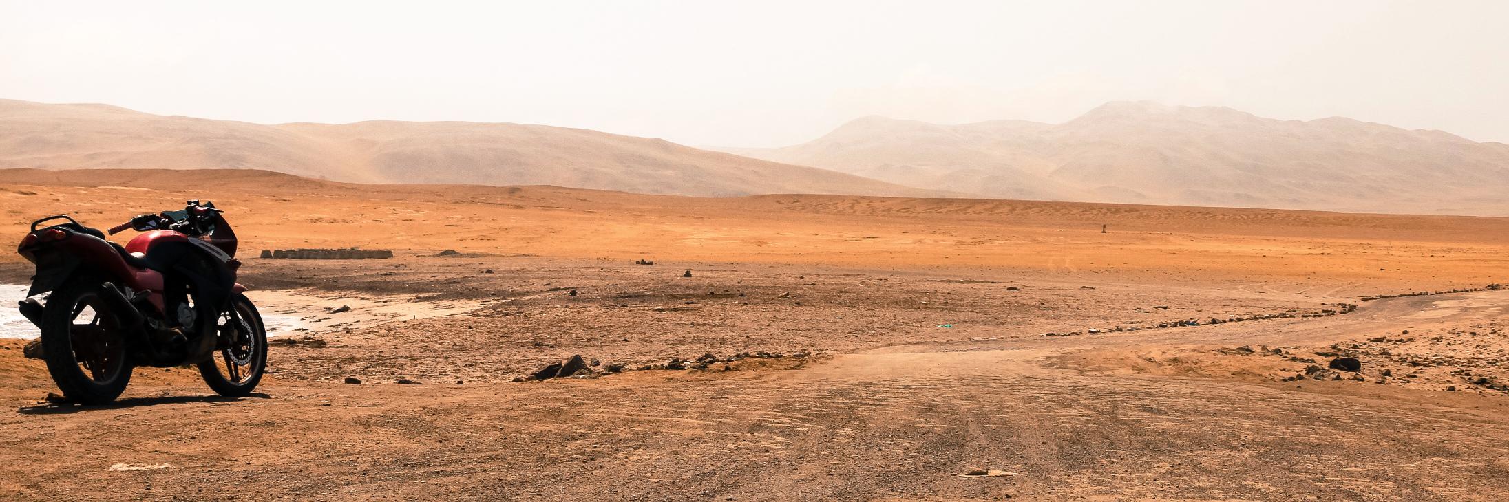 Michele Trevisiol banner