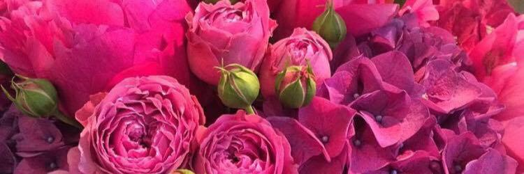 ANDREARINALDI's profile banner image