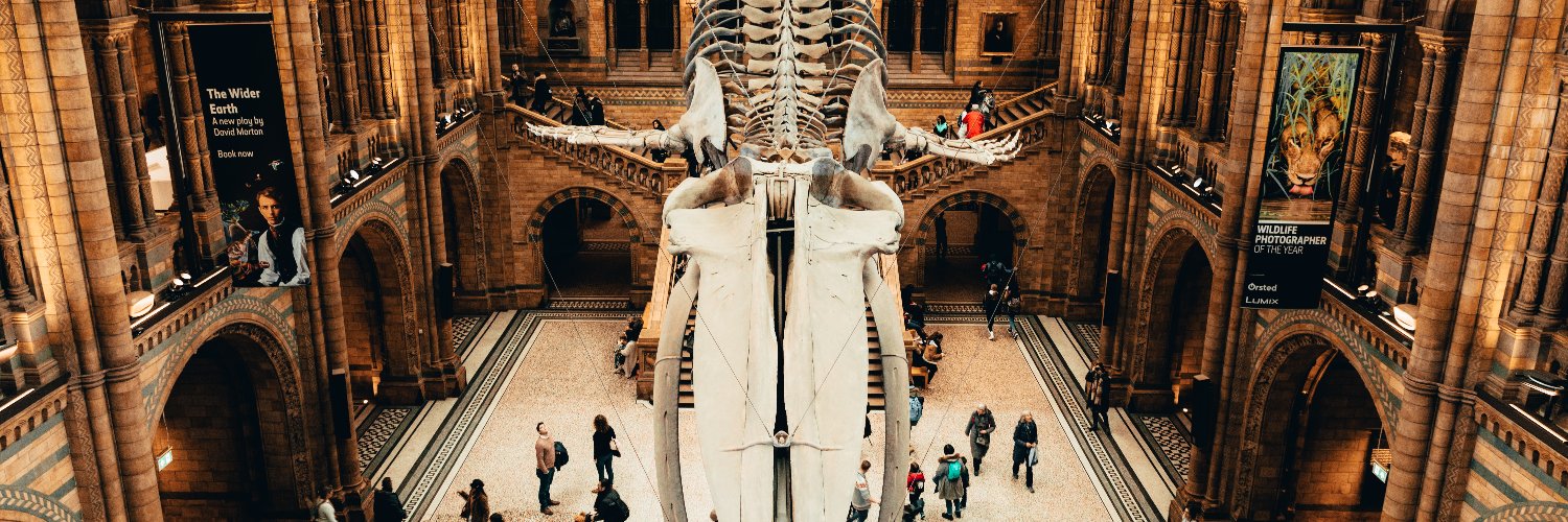 ComnNaturalist's profile banner image