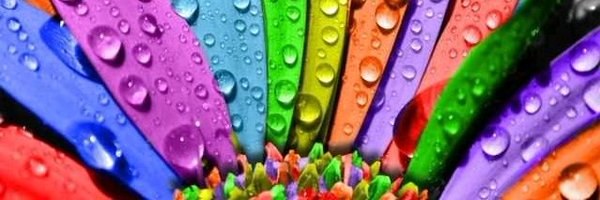 LoryMarie Profile Banner