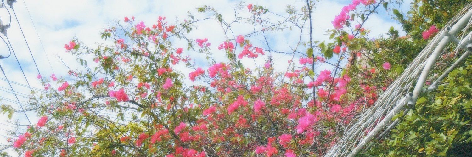 kariko666's profile banner image