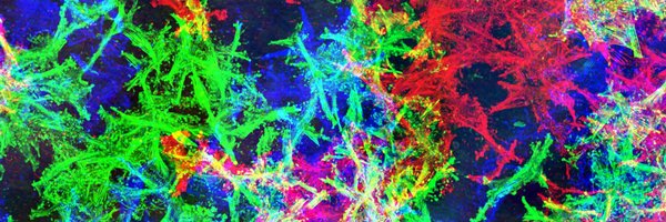 RhodW Profile Banner