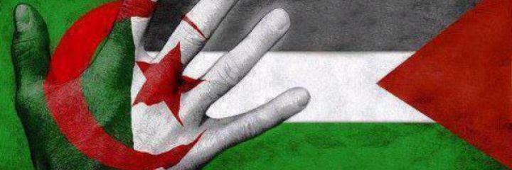 dina_srour's profile banner image