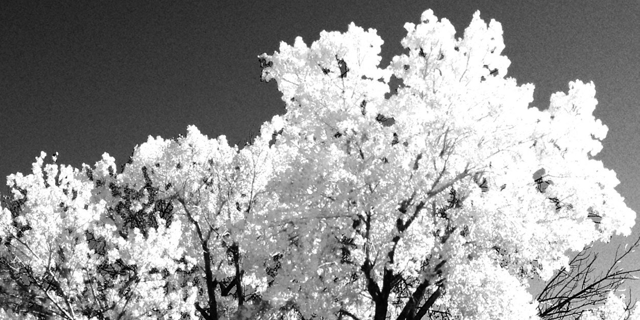 jgobi55's profile banner image