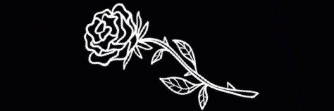 brownwreckluse's profile banner image