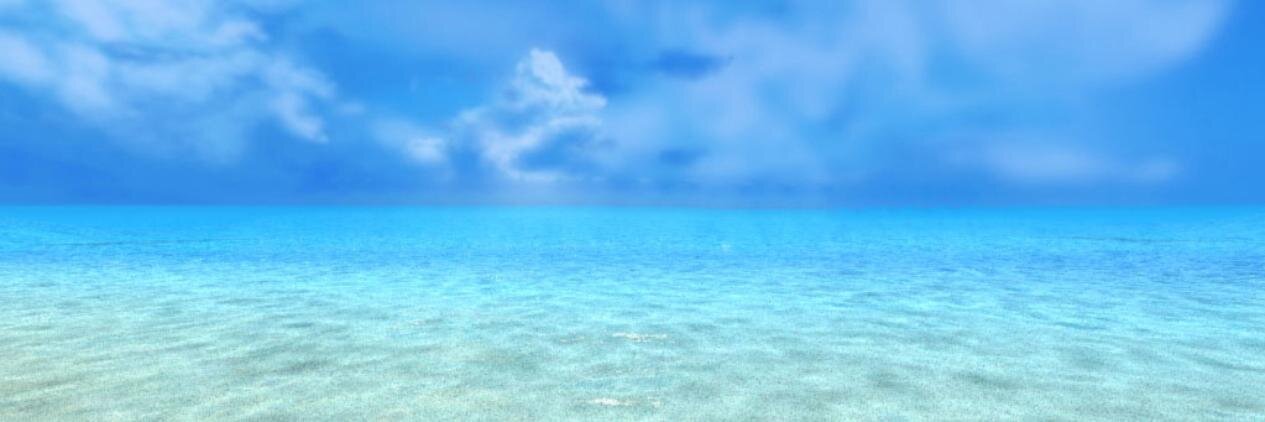 Tweet Kız banner