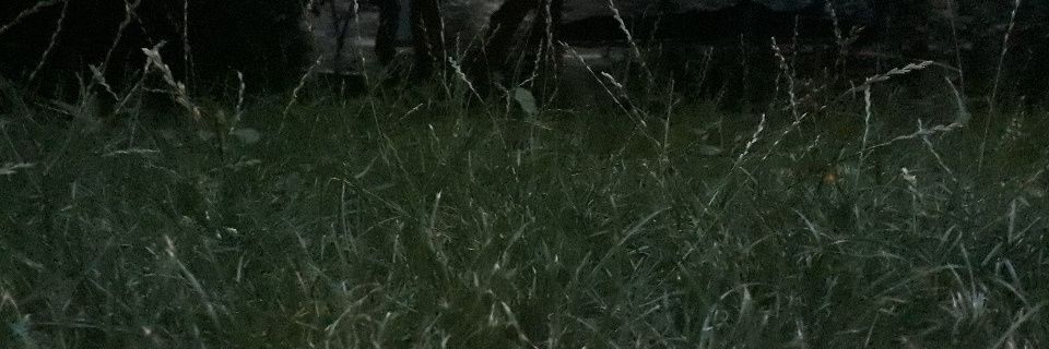 cgemillard's profile banner image