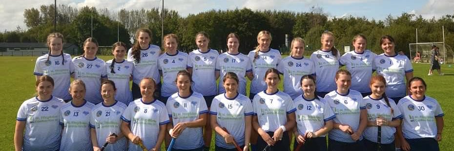 Kilmaley Camogie Club banner