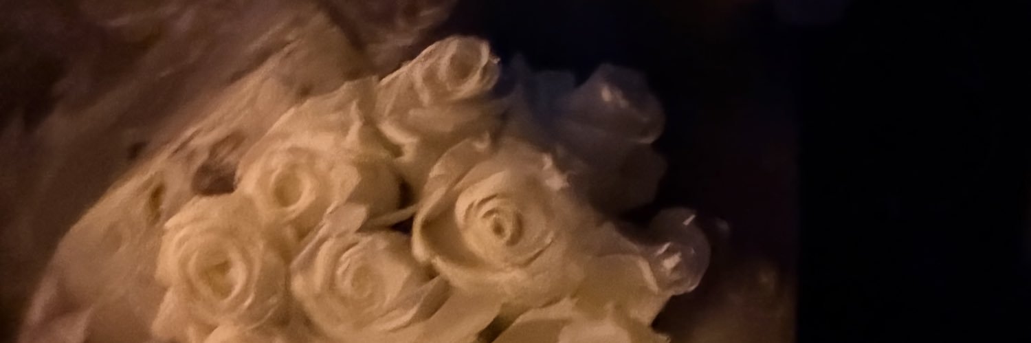 rmtntwp's profile banner image