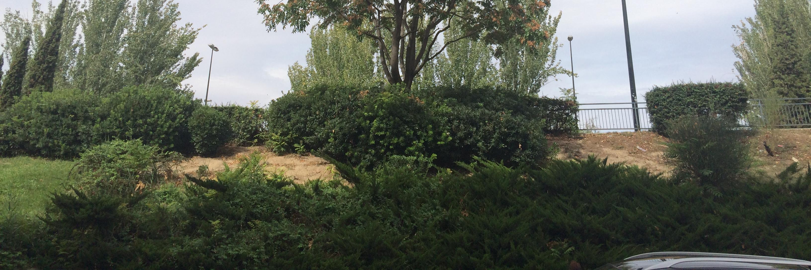 cocaquel's profile banner image