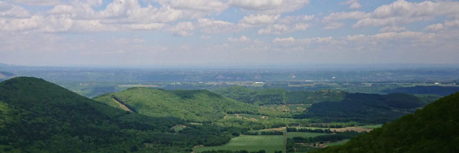tomhac08's profile banner image