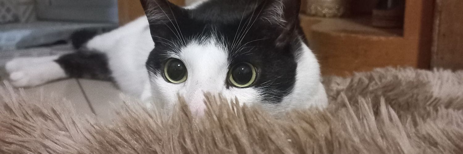 Carolsfw's profile banner image