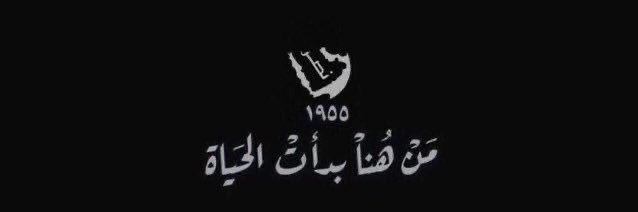 ly1117's profile banner image