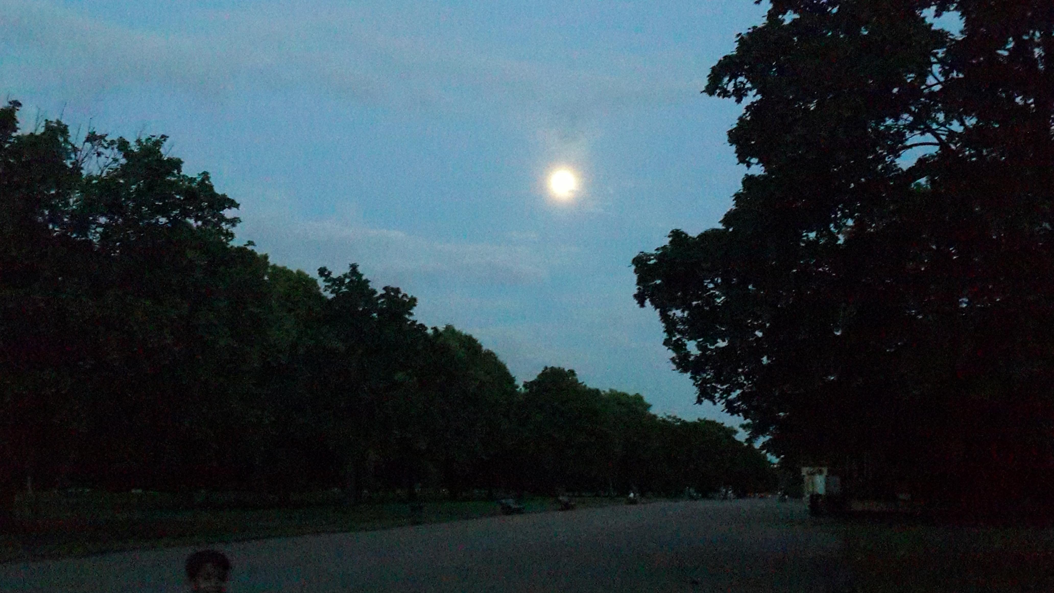 Mayada.ALFuraih banner