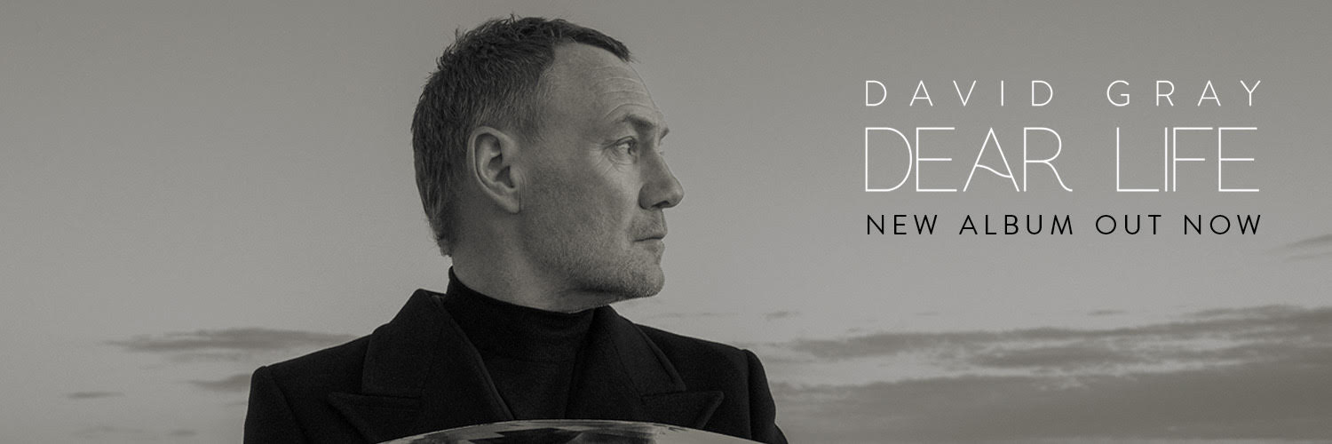 David Gray's banner