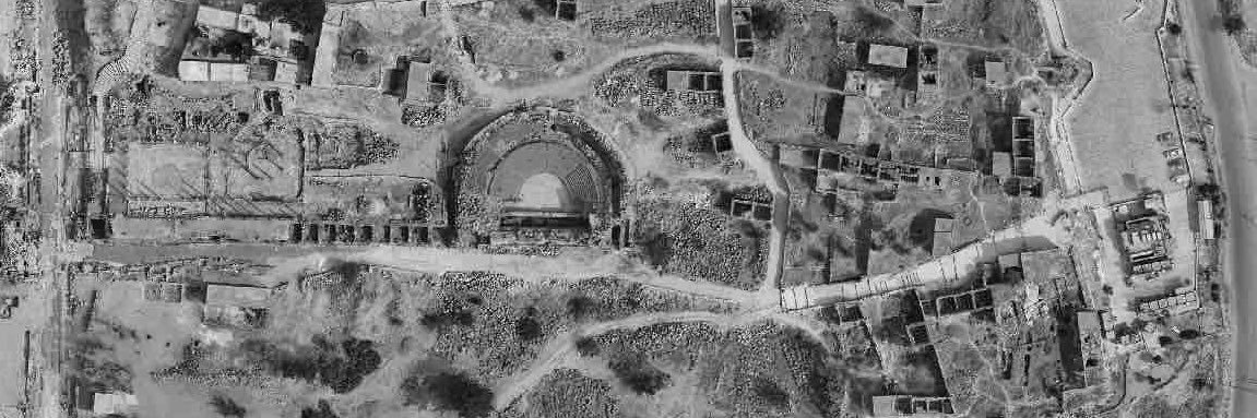 Prof Gehan Selim banner