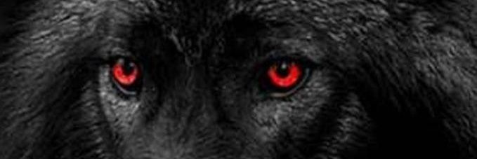 Deegs11's profile banner image