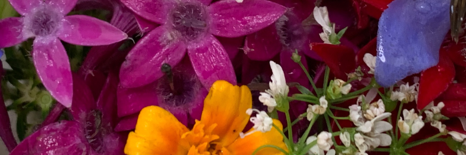 s__mile1's profile banner image