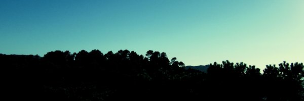 WhyNotFran_ Profile Banner