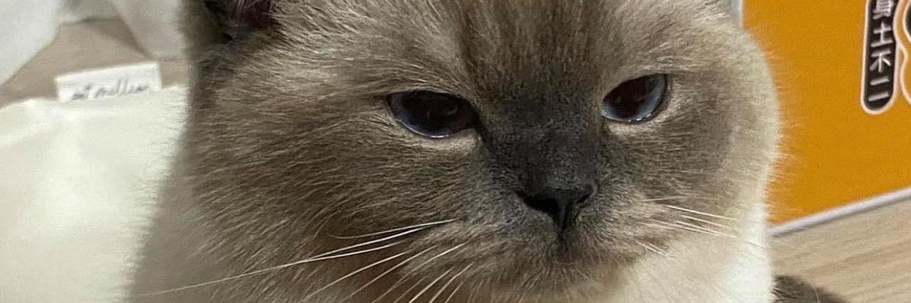 KathDavidd's profile banner image