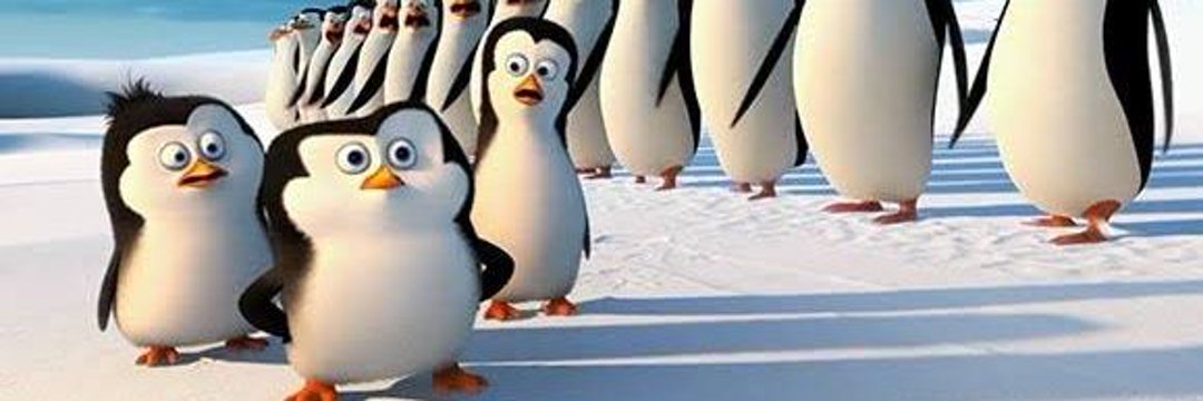 pochickens's profile banner image