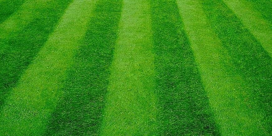 DJTurfcare's profile banner image