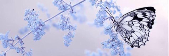g_la467's profile banner image